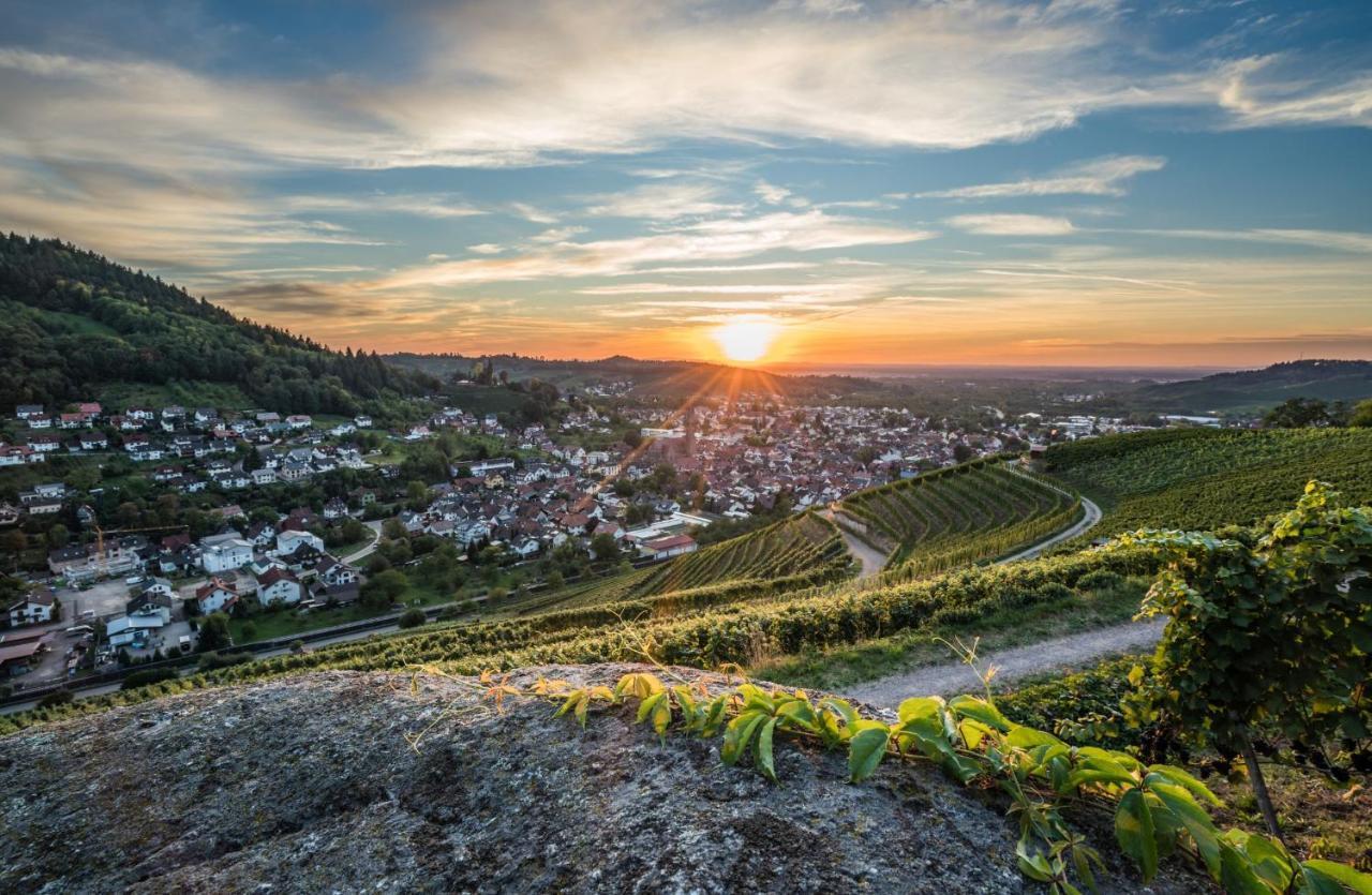 Ferienwohnung Epting Kappelrodeck Exteriér fotografie